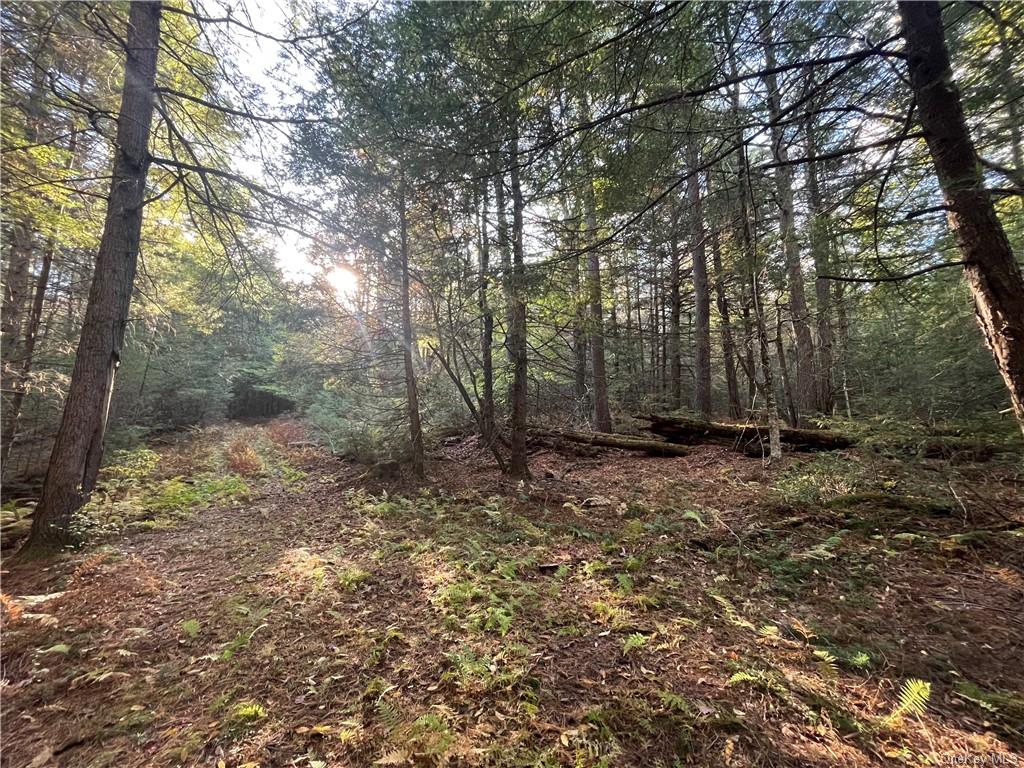 Land Ulster Heights  Ulster, NY 12489, MLS-H6274556-27