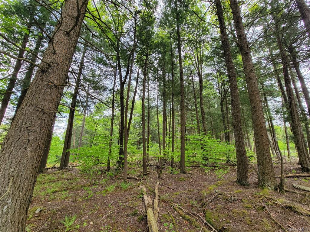 Land Eagles Ridge  Sullivan, NY 12768, MLS-H6232574-27