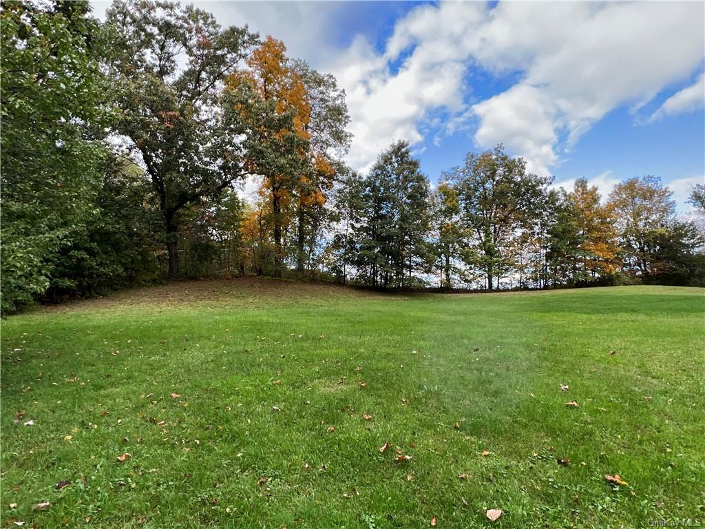 Land Birch  Ulster, NY 12589, MLS-H6271581-27