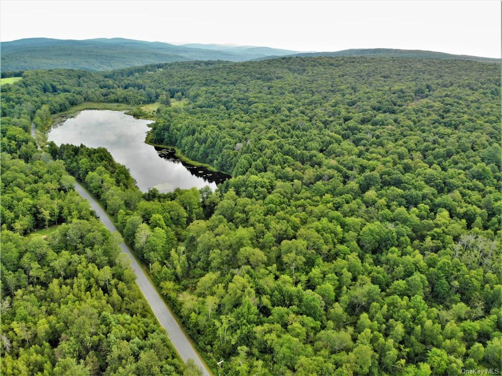 Land Beaver Lake  Sullivan, NY 12758, MLS-H6232604-27