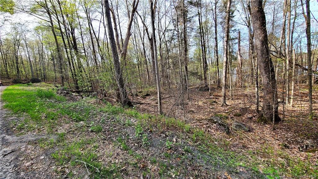 Land Lakeshore  Sullivan, NY 12778, MLS-H6143640-27