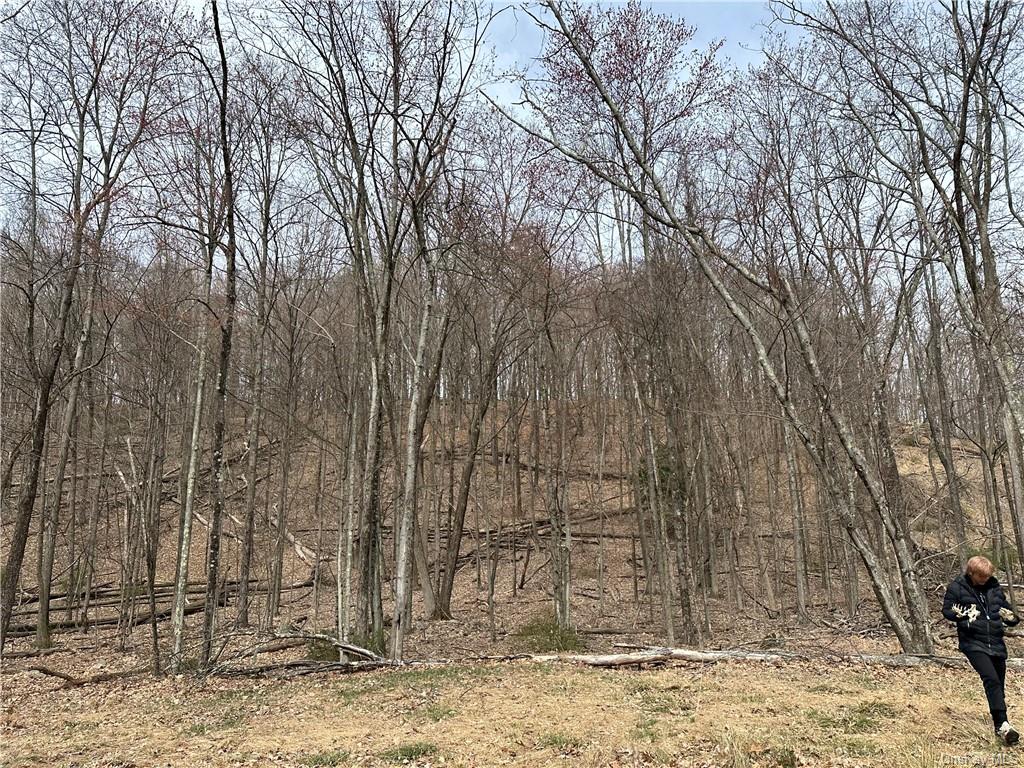 Land Crescent/pancake Hollow  Ulster, NY 12528, MLS-H6259698-27