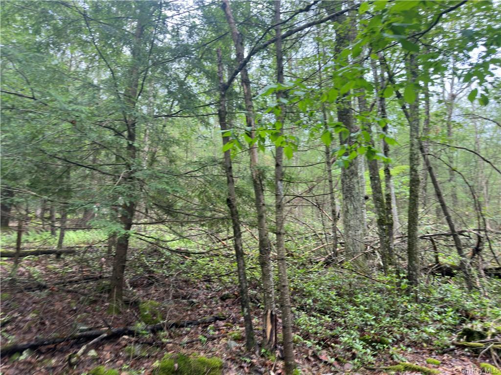 Land State Route 55  Sullivan, NY 12719, MLS-H6256862-27