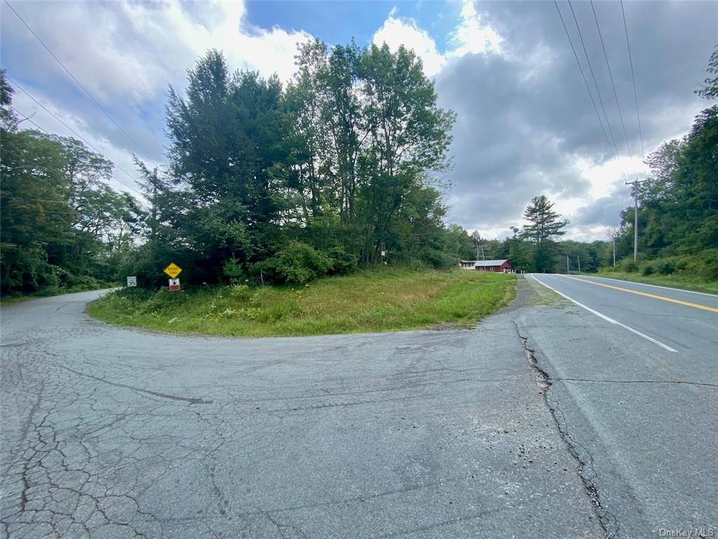 Land Moscoe  Sullivan, NY 12720, MLS-H6241893-27