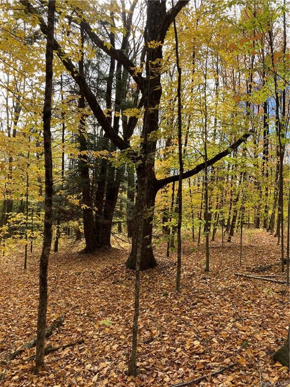 Land Big Woods  Sullivan, NY 12472, MLS-H6274967-27