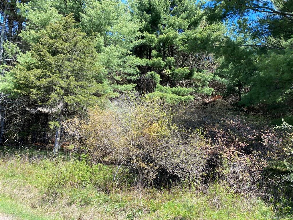 Land Royce  Sullivan, NY 12720, MLS-H6245995-27