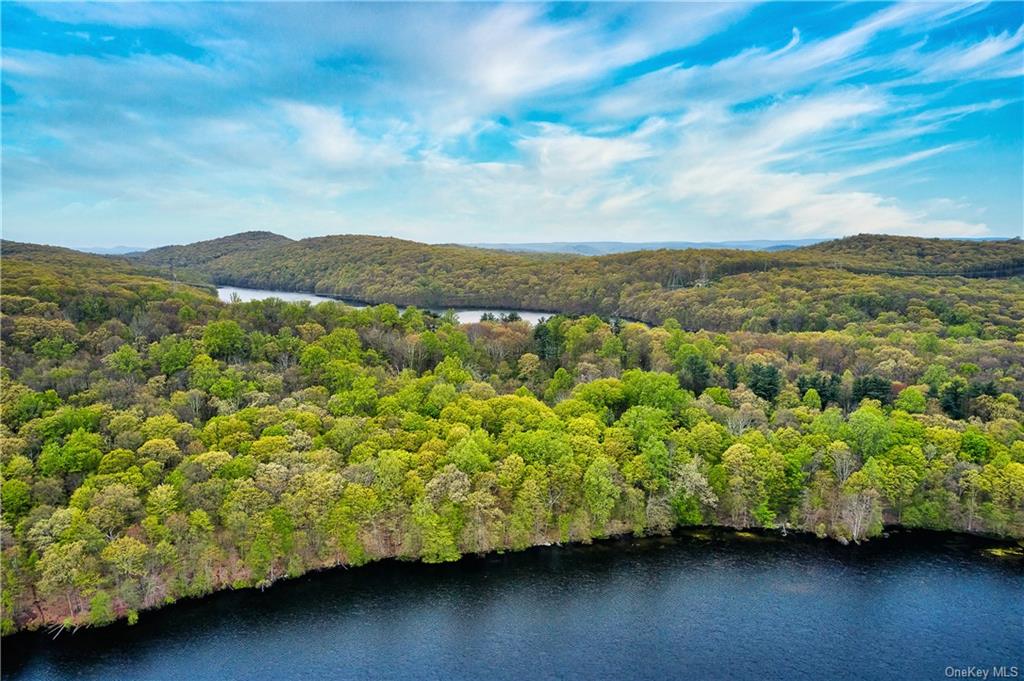 Land Beaver Pond  Rockland, NY 10980, MLS-H6246059-28