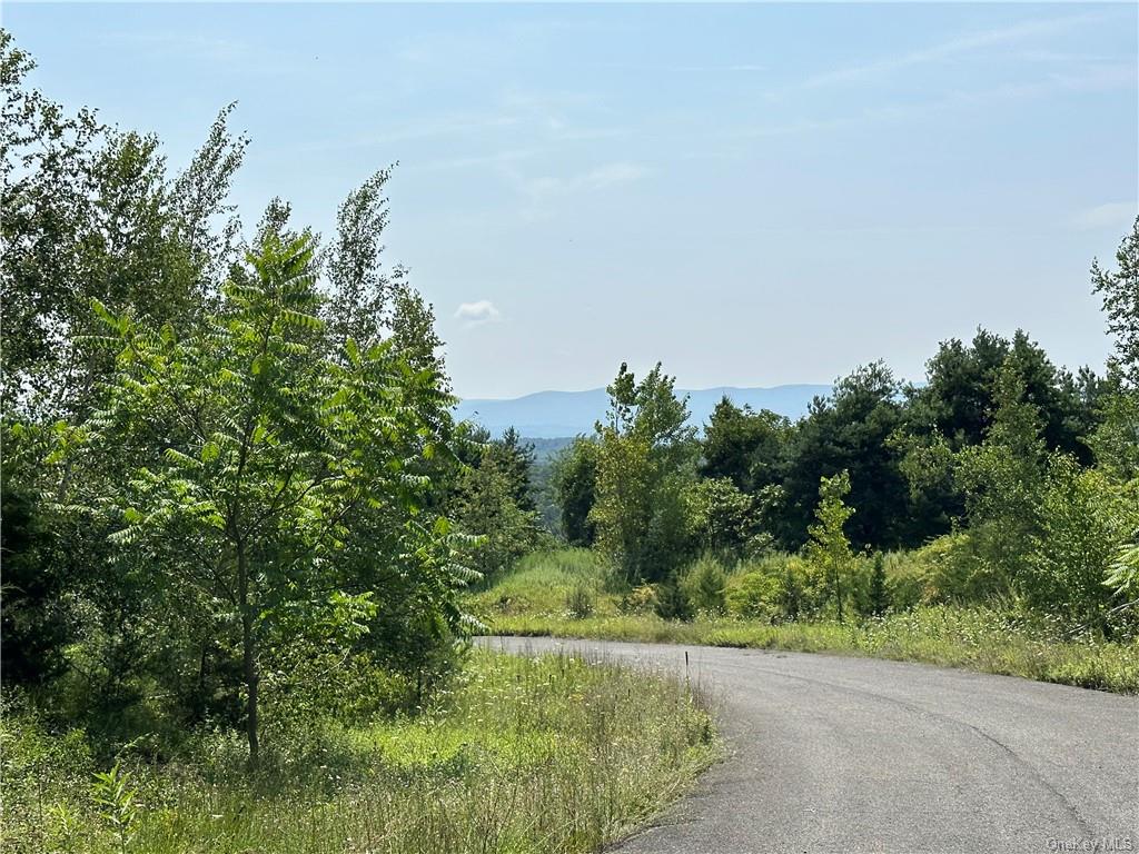 Land Truncali  Ulster, NY 12542, MLS-H6263292-28