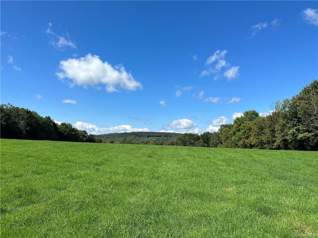 Land Menges  Sullivan, NY 12791, MLS-H6268308-28