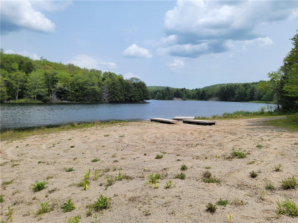 Land Eagles Ridge  Sullivan, NY 12768, MLS-H6232574-28