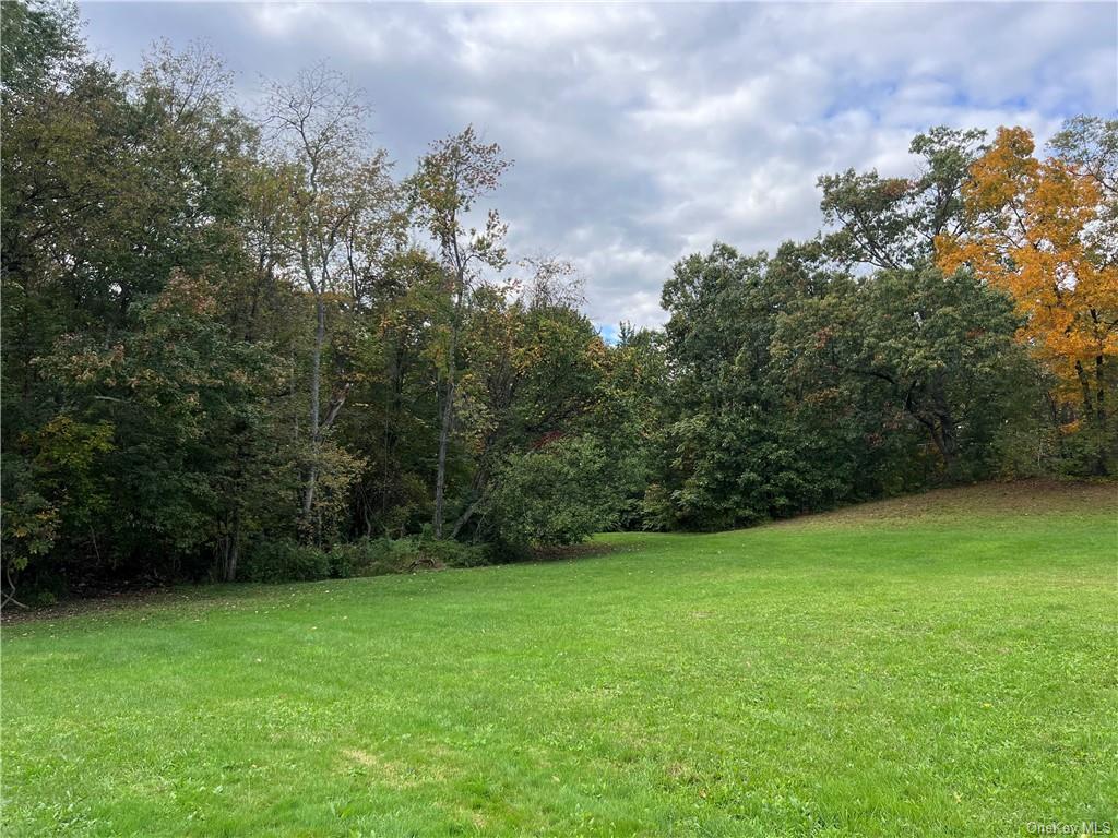 Land Birch  Ulster, NY 12589, MLS-H6271581-28