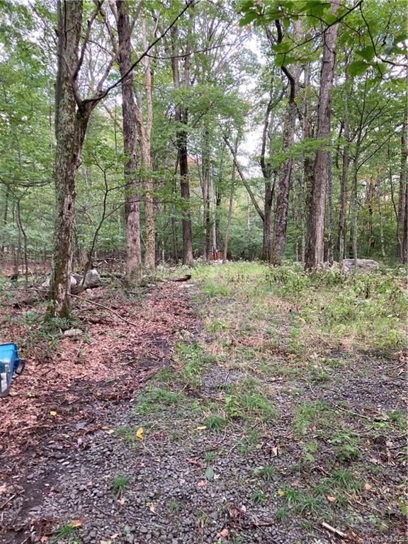 Land Route 52  Ulster, NY 12489, MLS-H6271730-28