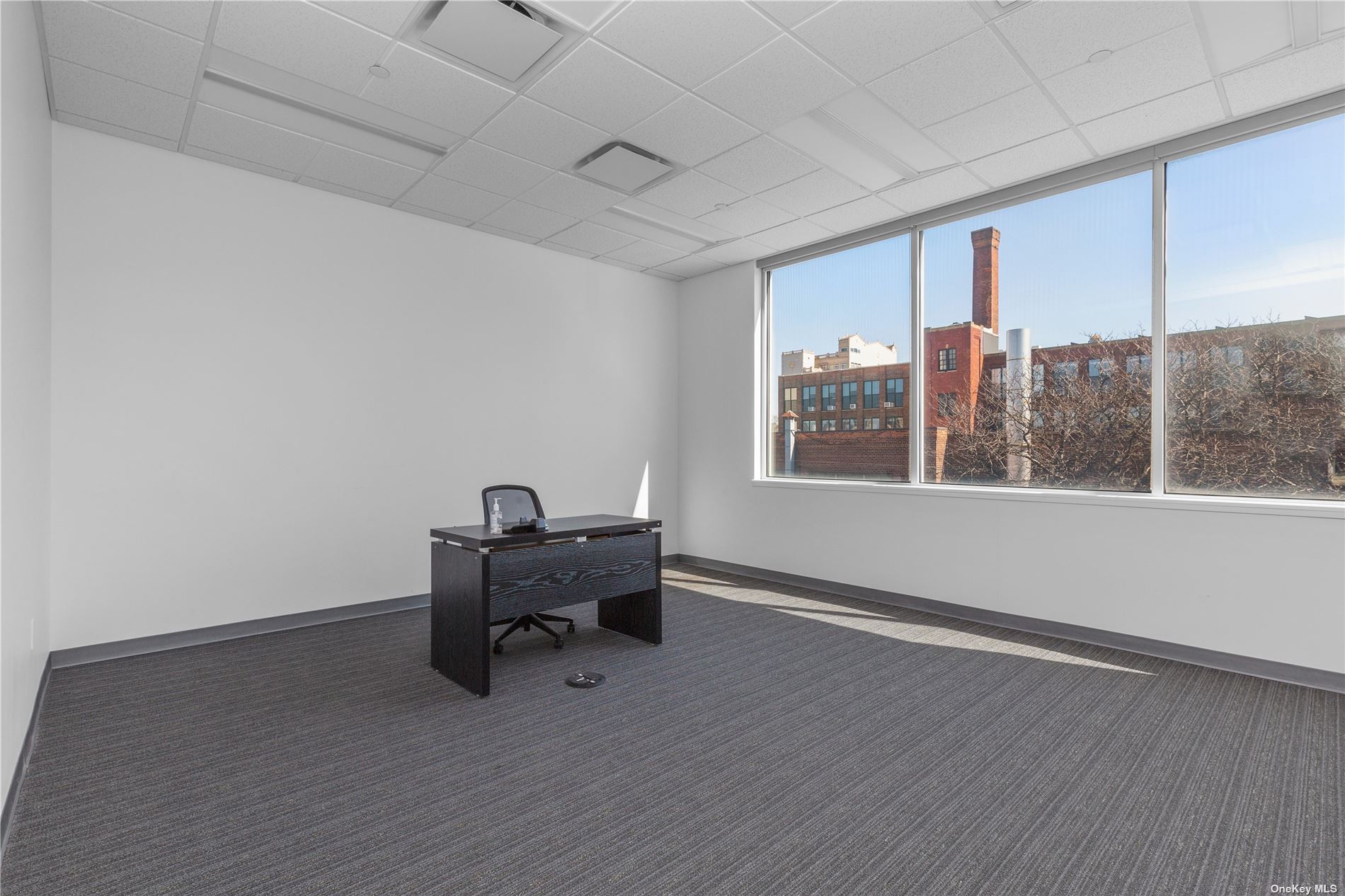 Commercial Lease 38th  Queens, NY 11101, MLS-3465813-28