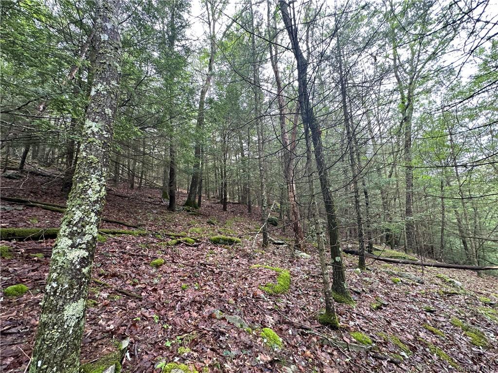 Land State Route 55  Sullivan, NY 12719, MLS-H6256862-28