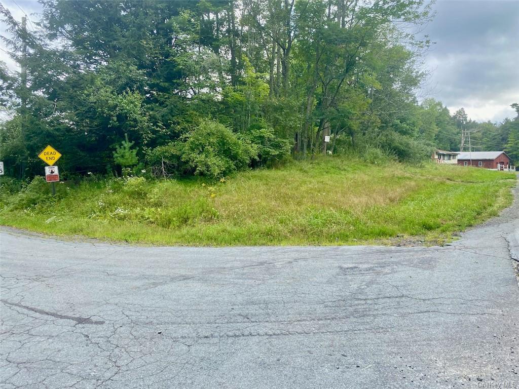 Land Moscoe  Sullivan, NY 12720, MLS-H6241893-28