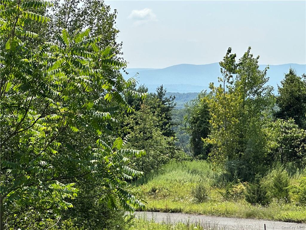 Land Truncali  Ulster, NY 12542, MLS-H6263292-29