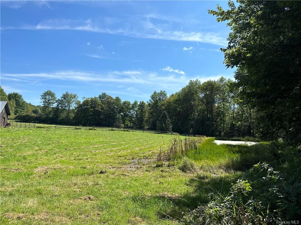 Land Menges  Sullivan, NY 12791, MLS-H6268308-29