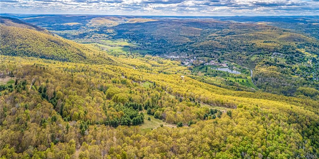 Land Gully  Ulster, NY 12420, MLS-H6249329-29