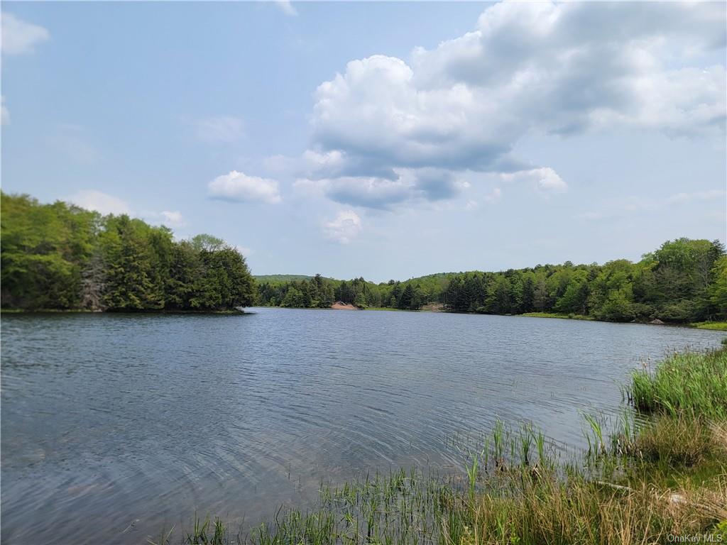 Land Eagles Ridge  Sullivan, NY 12768, MLS-H6232574-29