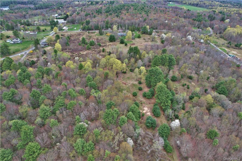 Land Mitchell  Sullivan, NY 12786, MLS-H6243649-29