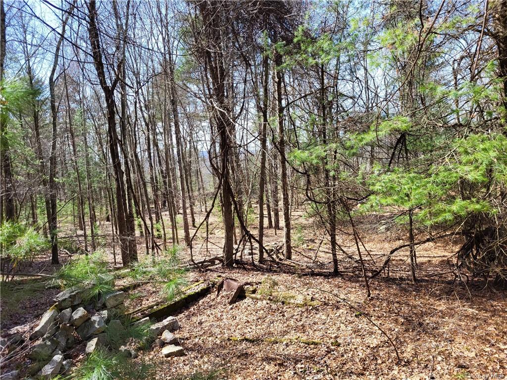 Land Old Plank  Ulster, NY 12420, MLS-H6180707-29