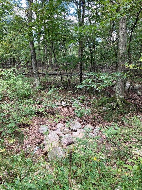 Land Route 52  Ulster, NY 12489, MLS-H6271730-29