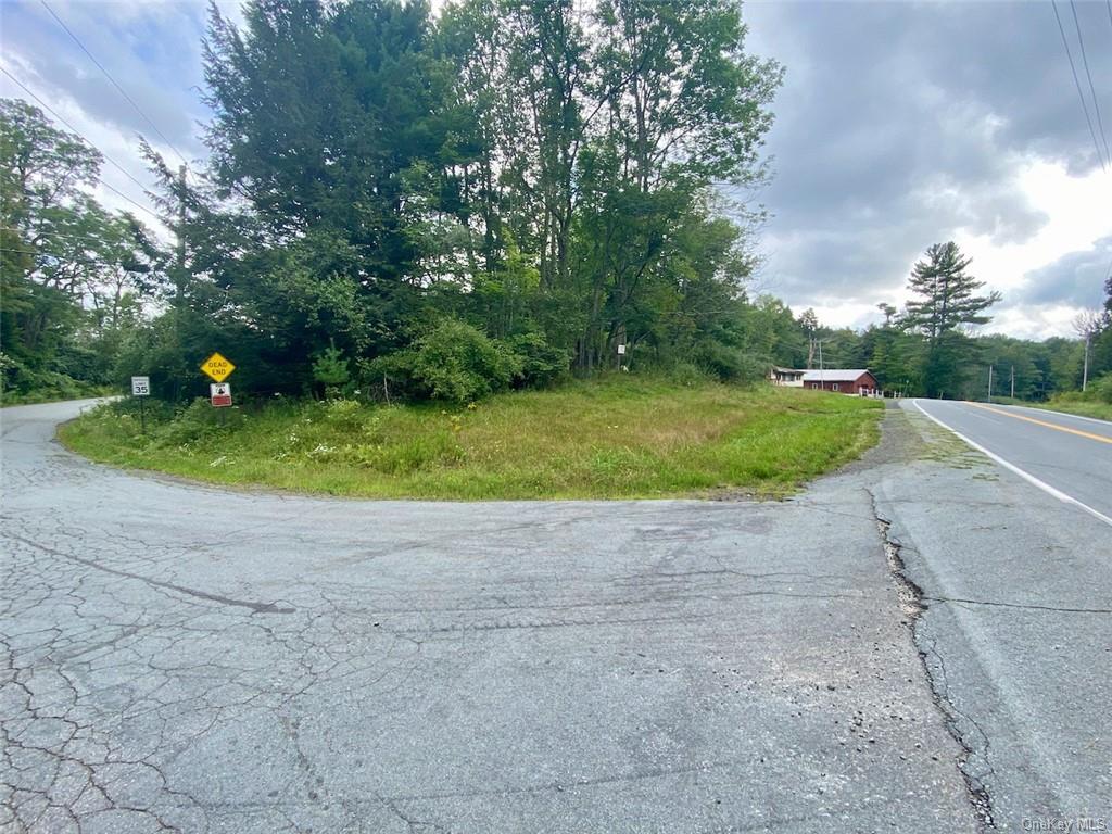 Land Moscoe  Sullivan, NY 12720, MLS-H6241893-29