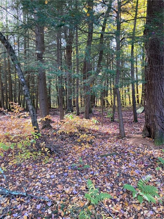 Land Big Woods  Sullivan, NY 12472, MLS-H6274967-29