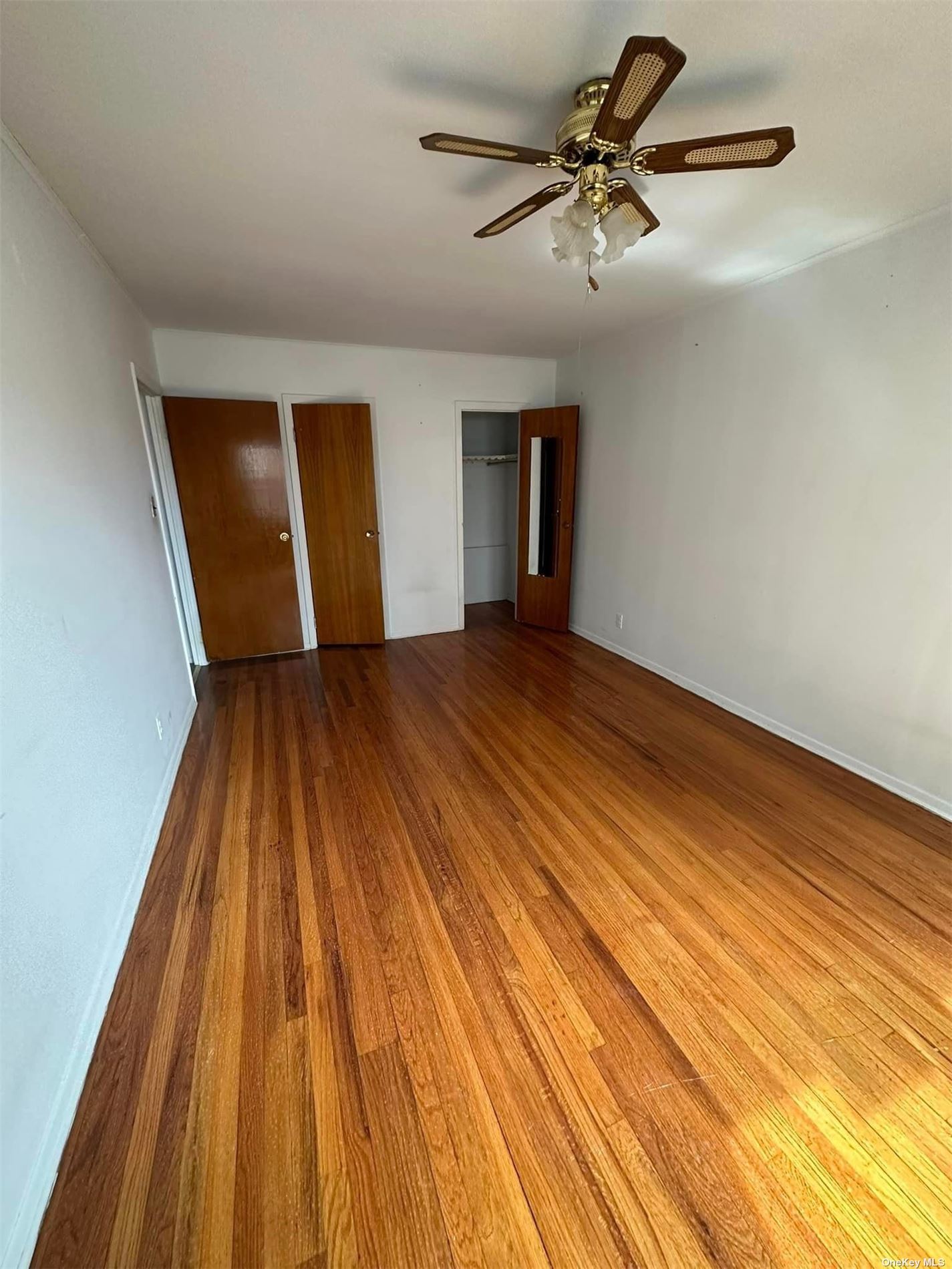 Apartment Francia Lewis  Queens, NY 11358, MLS-3509007-3