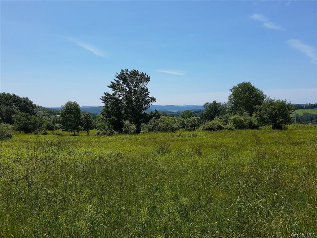 Land Beechwoods  Sullivan, NY 12723, MLS-H6264013-3