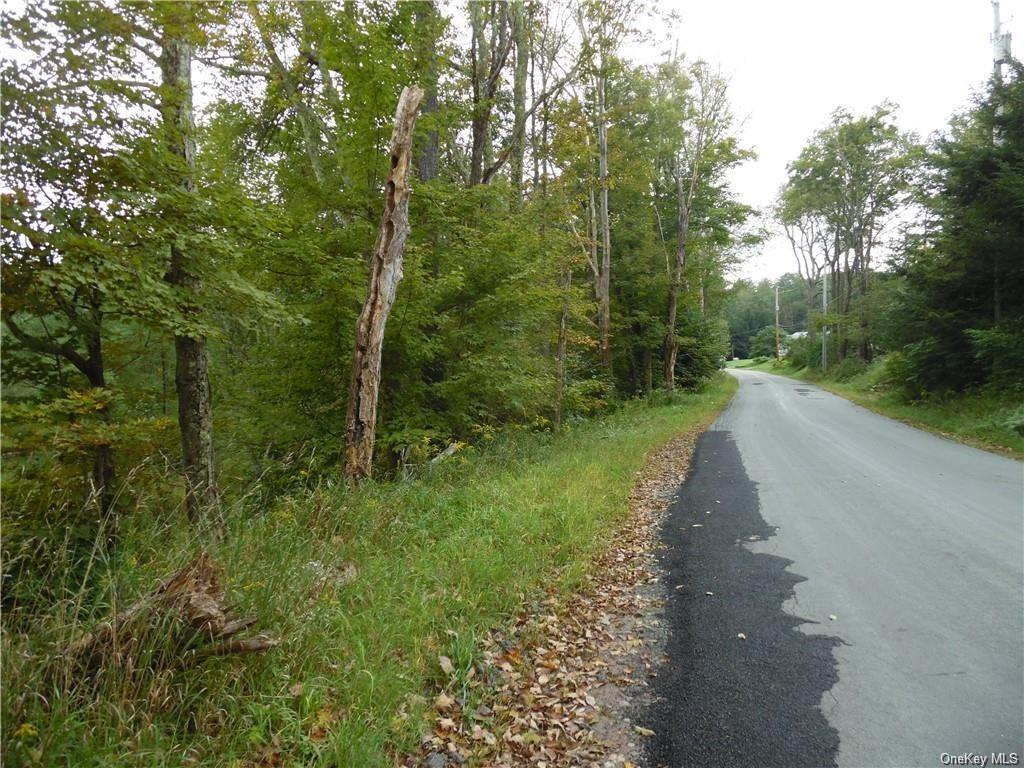 Land Plank  Sullivan, NY 12720, MLS-H6237065-3