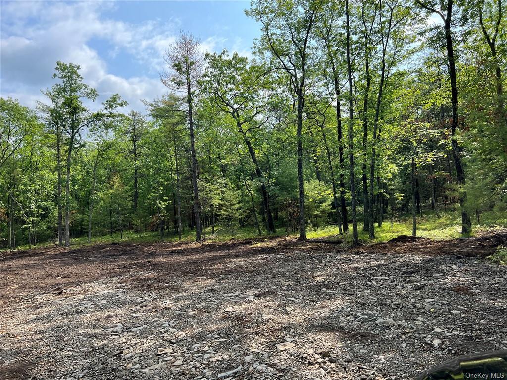 Land Reilly  Ulster, NY 12401, MLS-H6252070-3