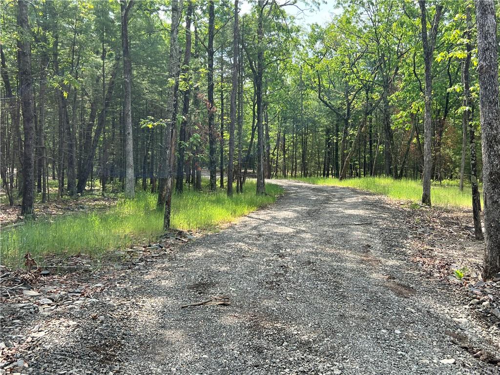 Land Reilly  Ulster, NY 12401, MLS-H6252074-3