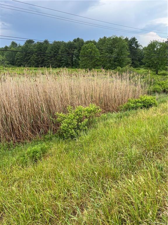 Land State Route 17 B  Sullivan, NY 12720, MLS-H6258084-3