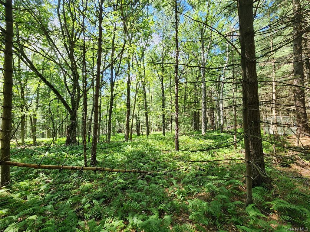 Land Dill  Sullivan, NY 12777, MLS-H6261089-3