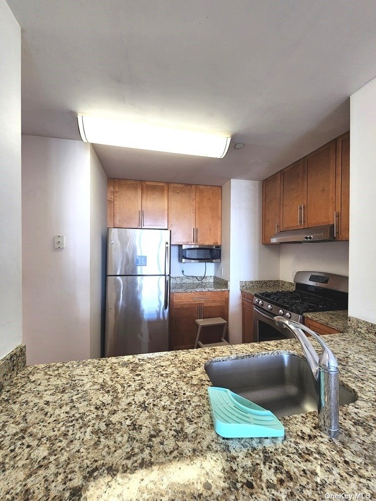 House College Point  Queens, NY 11354, MLS-3507102-3