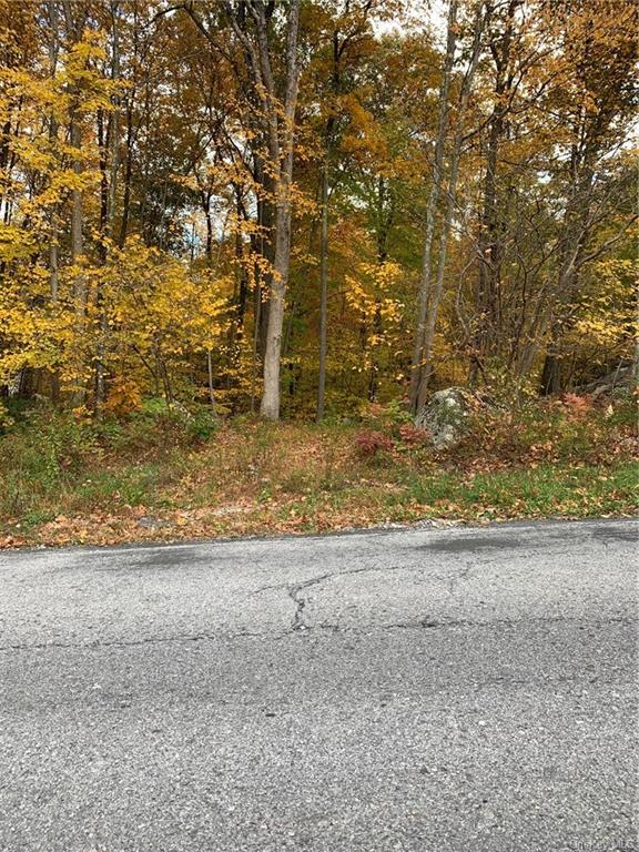 Land South  Dutchess, NY 12531, MLS-H6217102-3