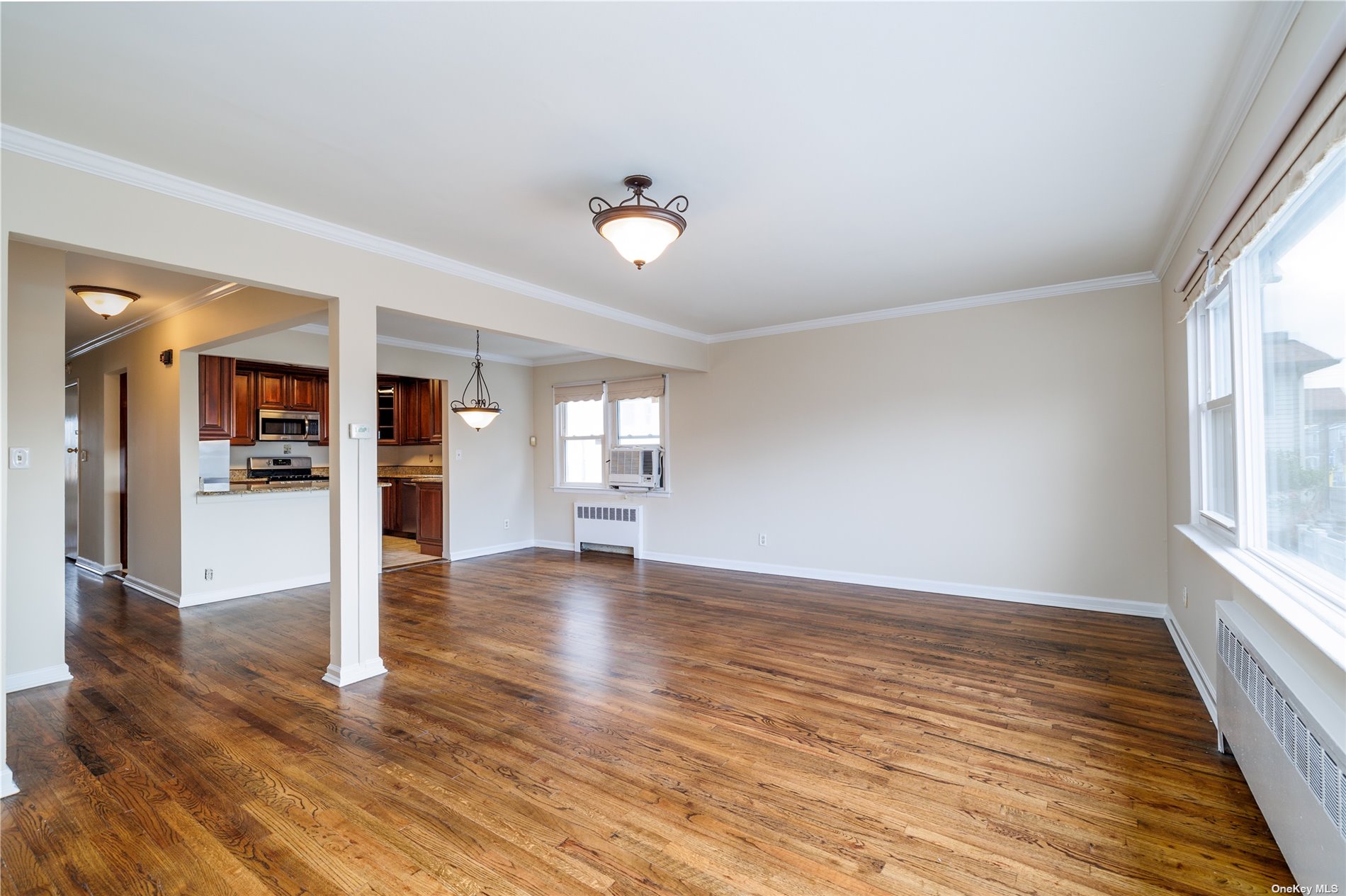 Apartment Hudson  Nassau, NY 11561, MLS-3505112-3