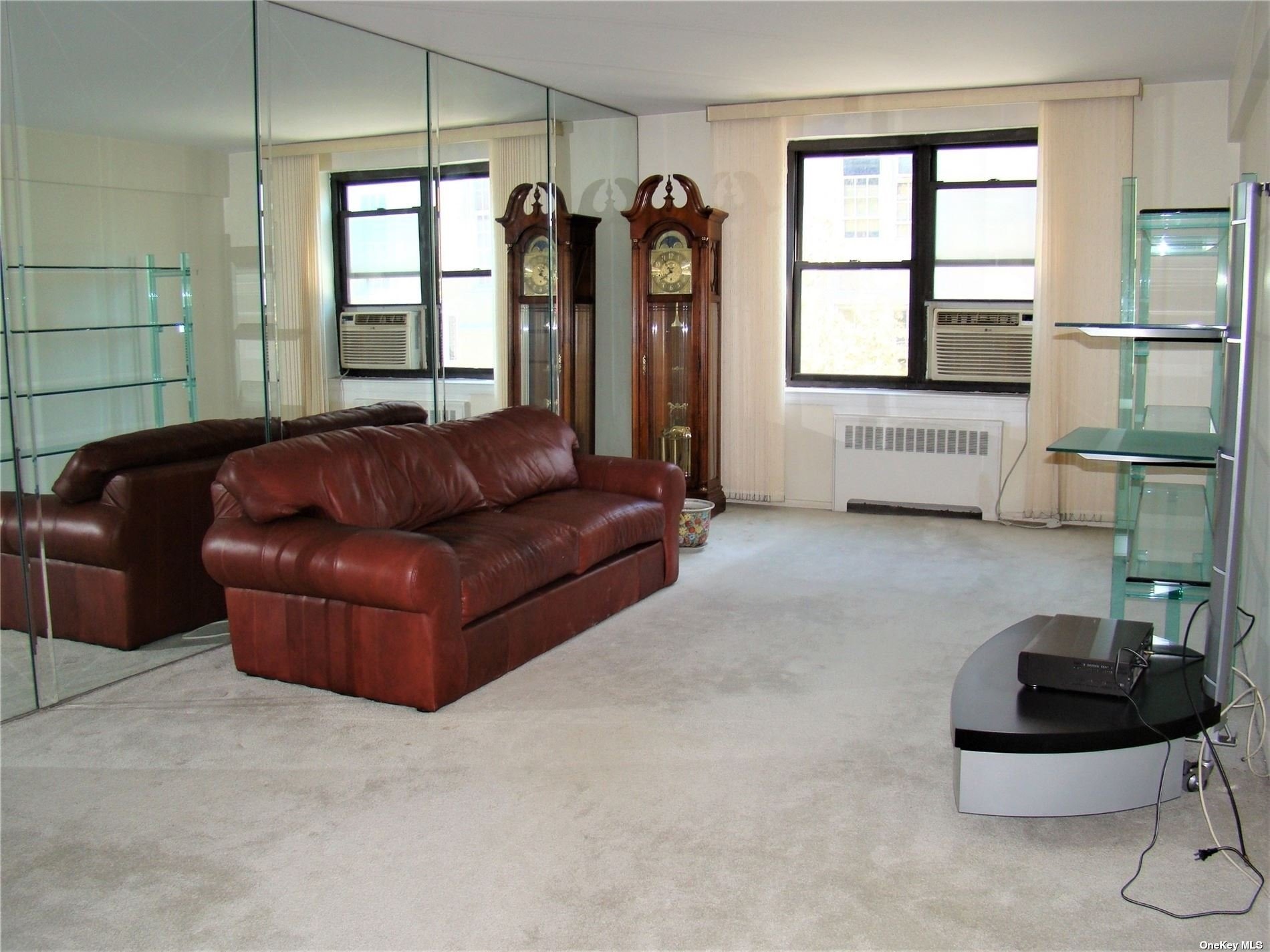 Coop 89  Queens, NY 11369, MLS-3481116-3