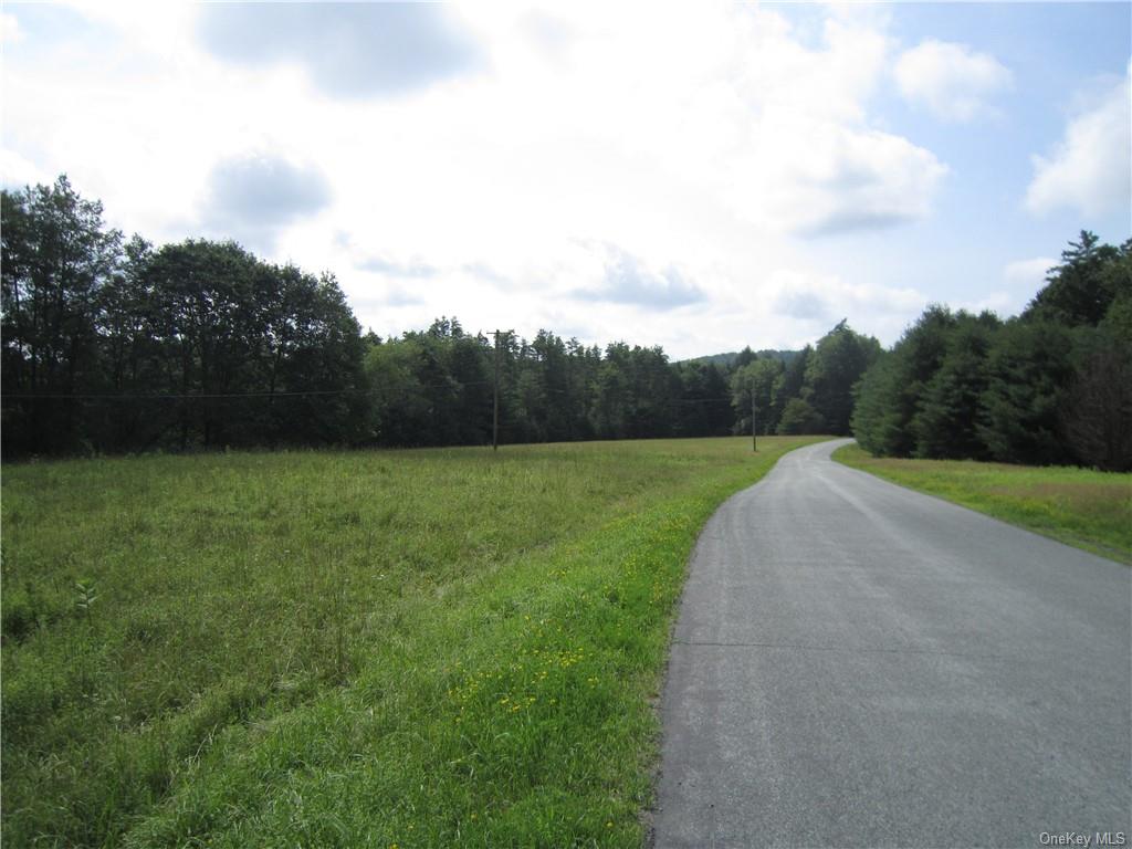 Land St. Rt,  52 & Old Country  Sullivan, NY 12726, MLS-H6262117-3