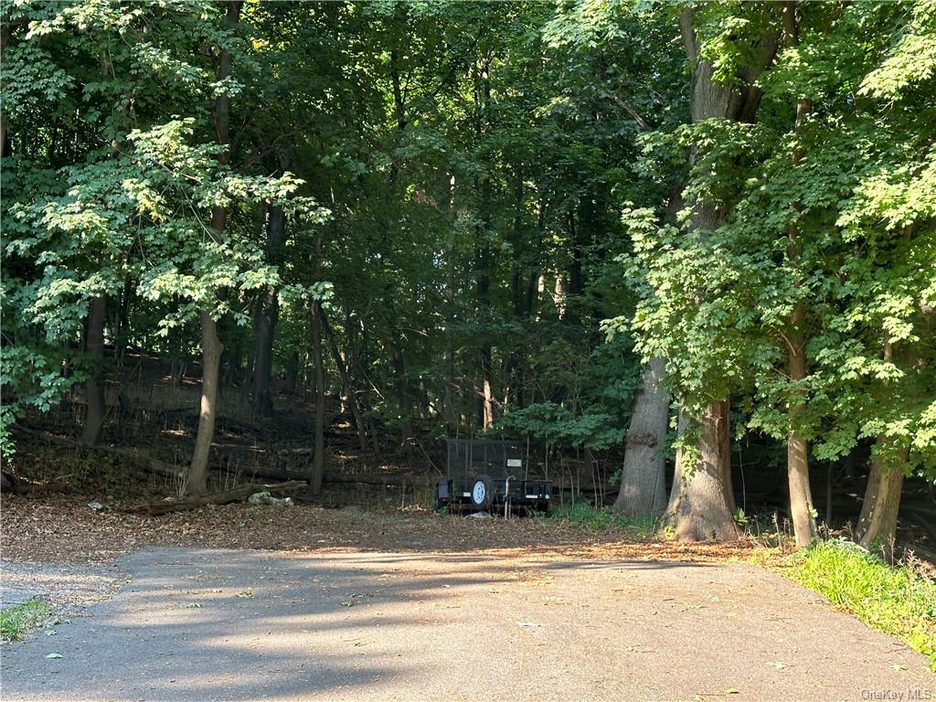 Land Dickinson  Westchester, NY 10703, MLS-H6264120-3