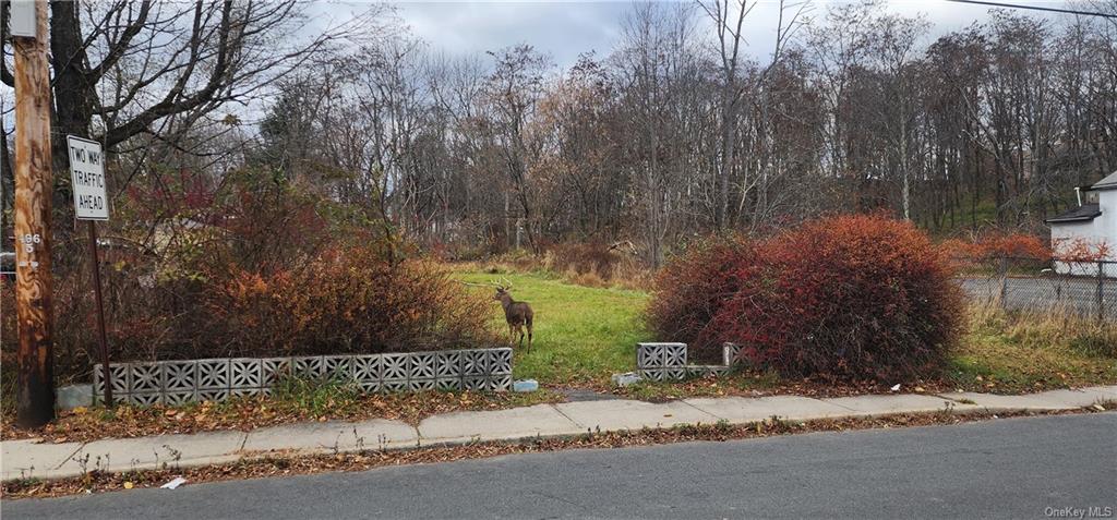 Land Spring  Sullivan, NY 12701, MLS-H6278127-3