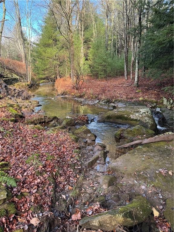 Land Tbd Clark Road Tr 21  Sullivan, NY 12733, MLS-H6280144-3