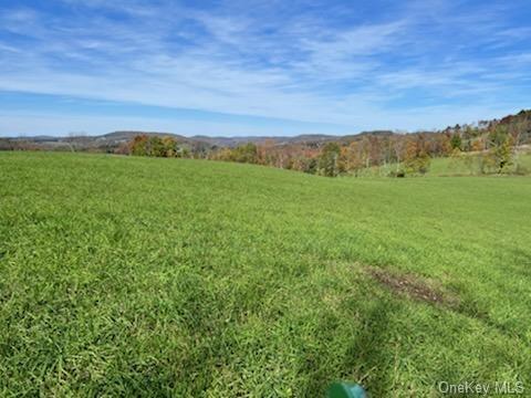 Land 01 Bauernfeind  Sullivan, NY 12723, MLS-H6213146-3