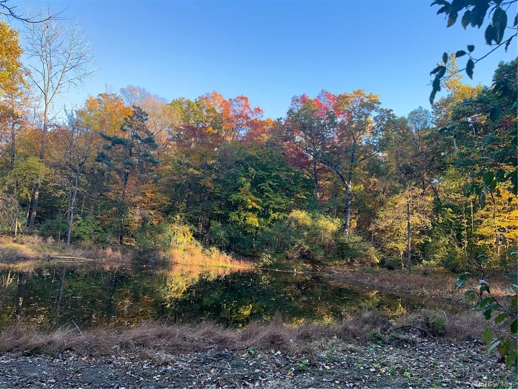 Land Route 9g  Columbia, NY 12526, MLS-H6275146-3