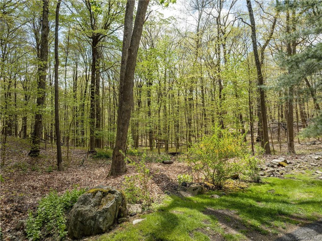 Land Creemer  Westchester, NY 10504, MLS-H6251162-3