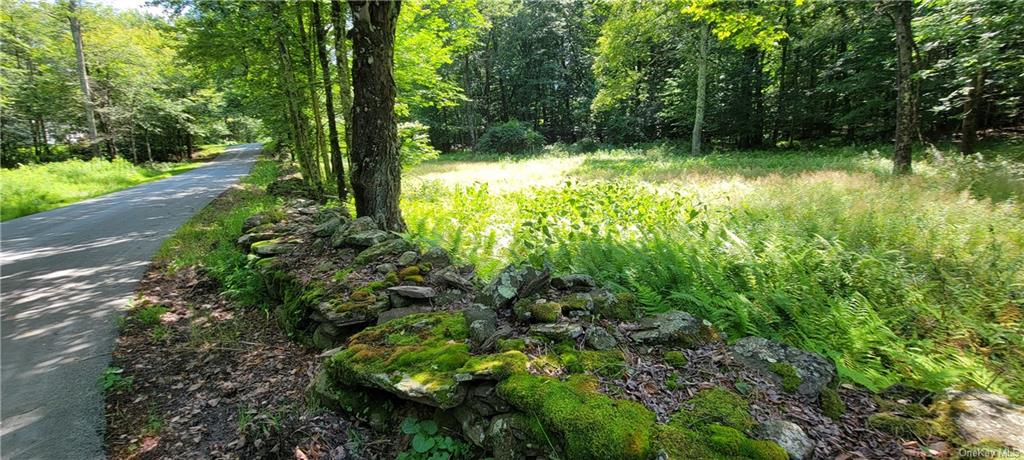 Land Westervelt  Sullivan, NY 12726, MLS-H6264186-3