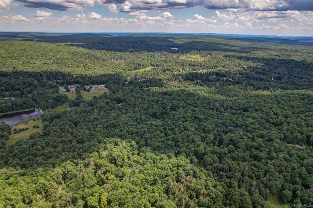 Land N/s French Clearing  Sullivan, NY 12777, MLS-H6195187-3