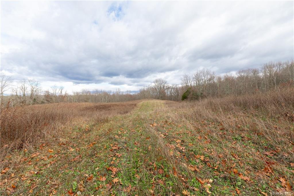 Land Cream  Dutchess, NY 12601, MLS-H6256190-3