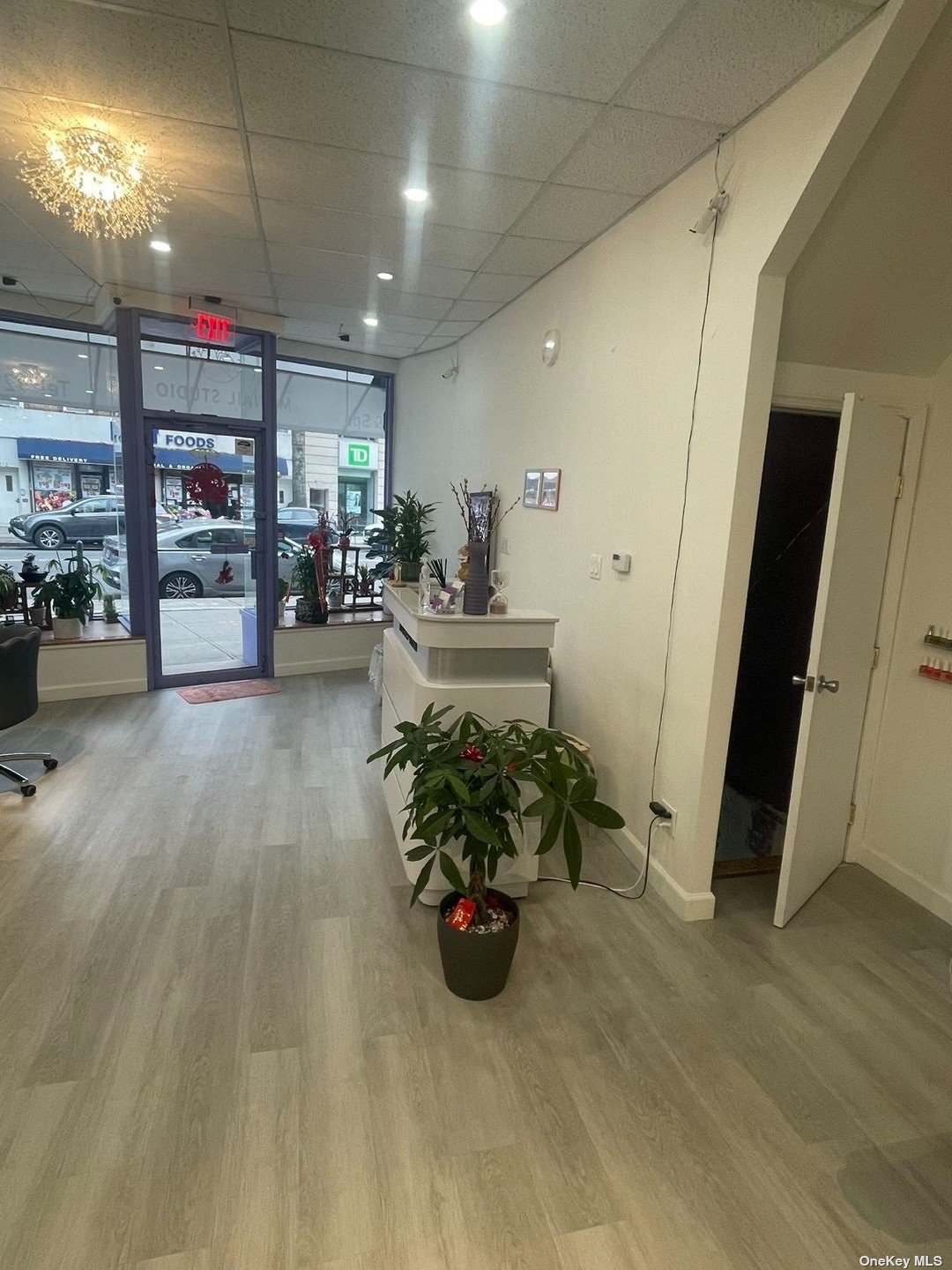 Business Opportunity 5th  Brooklyn, NY 11209, MLS-3465191-3